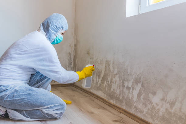 Mold inspector in Malverne performing thermal imaging